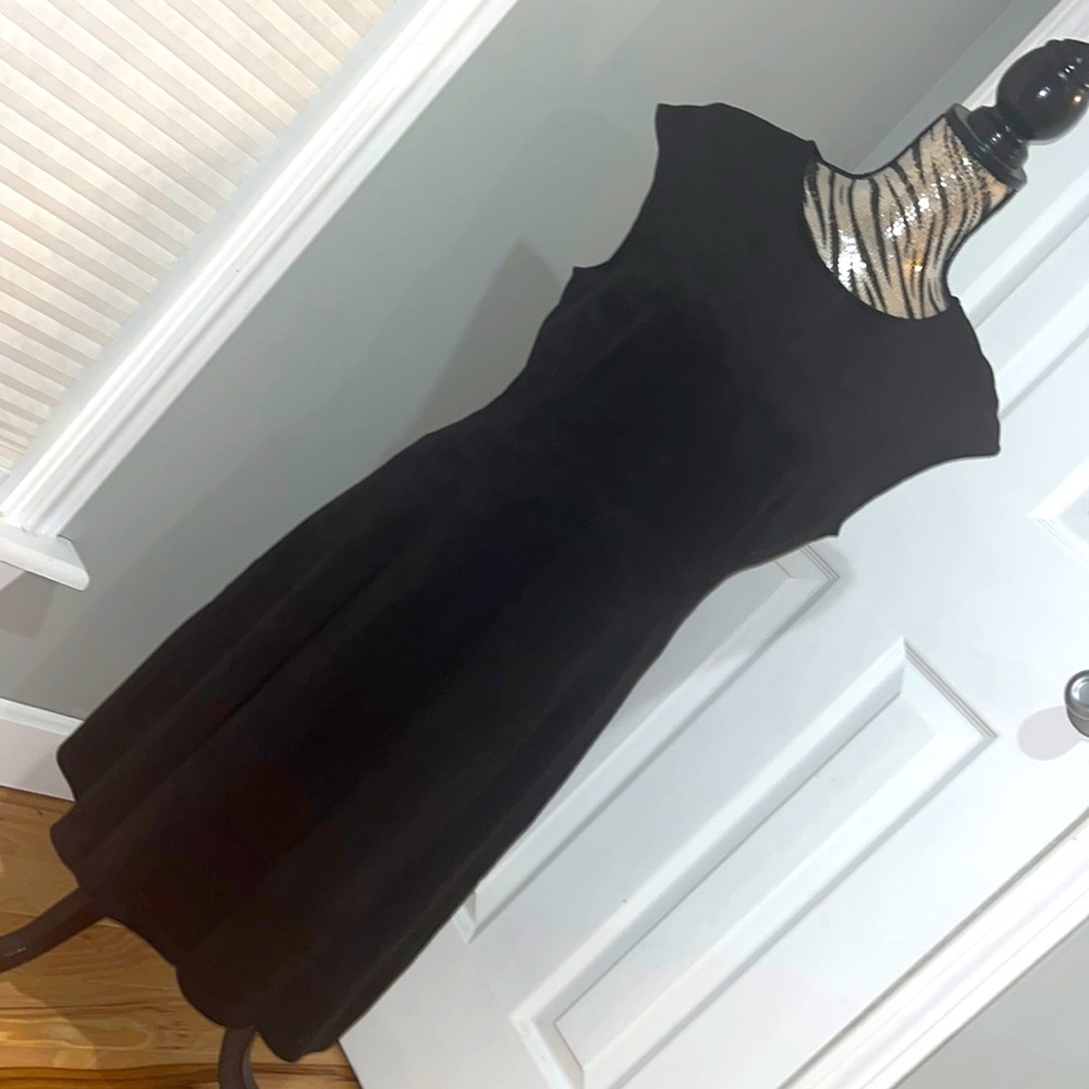 The Limited Dress 👗